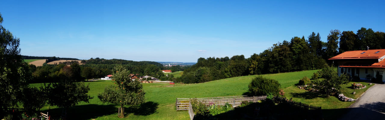 Panorama vom Balkon